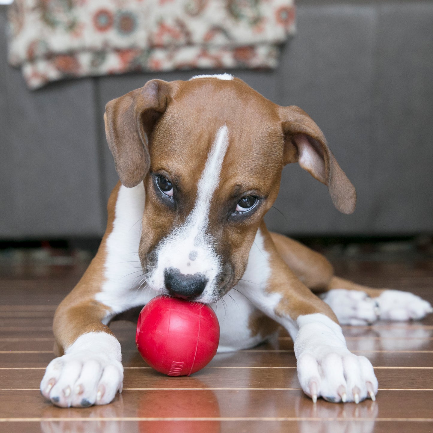 KONG® Ball