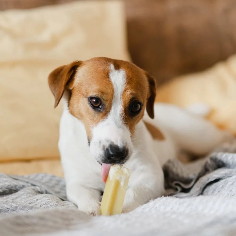 Bâtonnet de fromage Cheezy Dog aromatisé - Le Royaume de Lecki