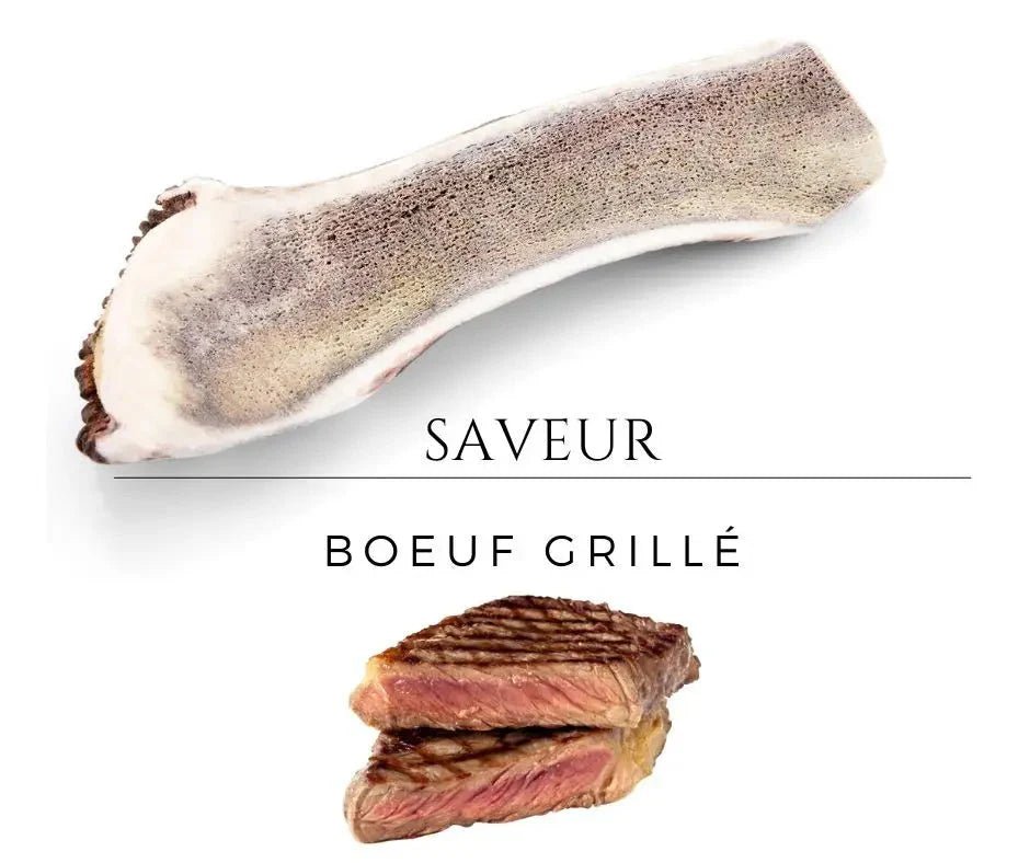 Bois de cerf fumé aromatisé - Le Royaume de Lecki