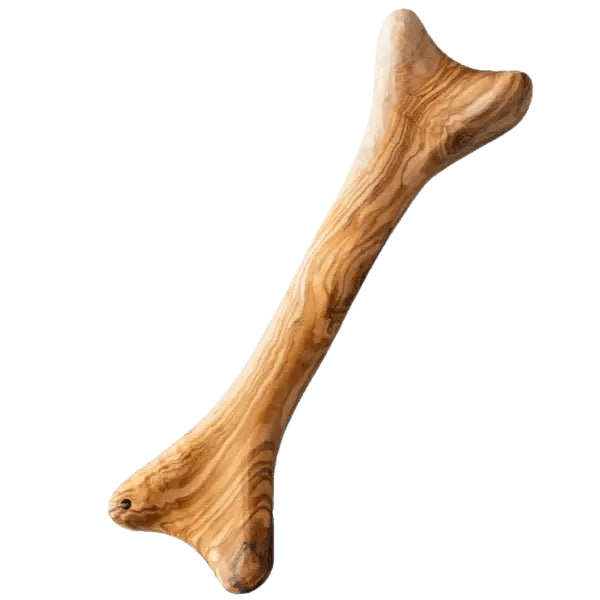 Bois d'olivier en forme d'os - Le Royaume de Lecki