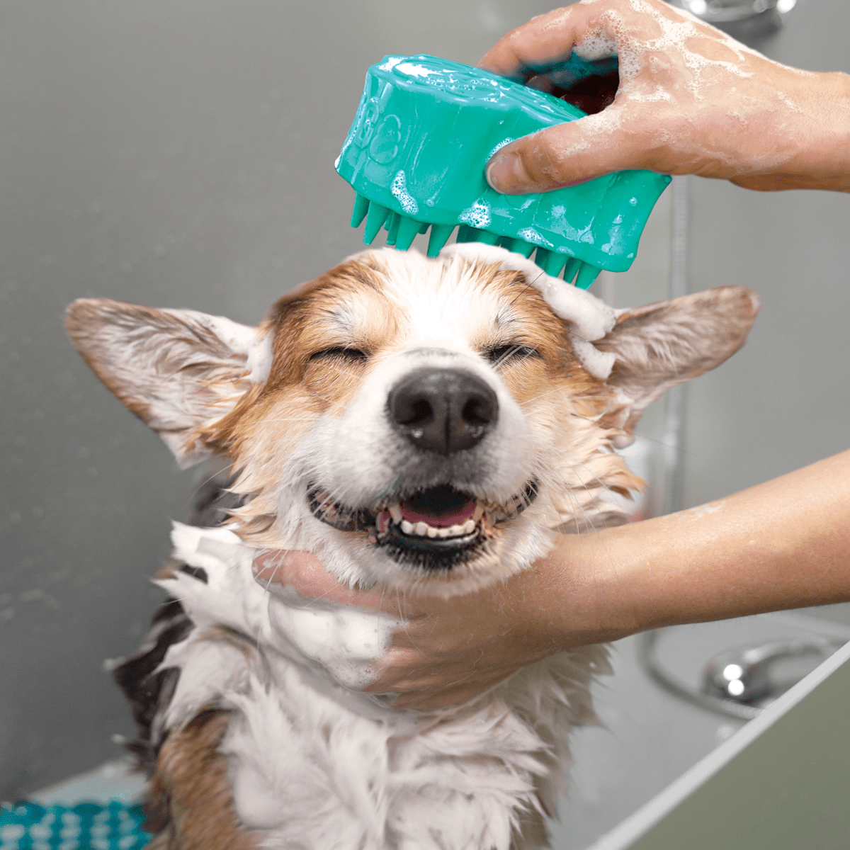 Brosse KONG® ZoomGroom Bubbles - Le Royaume de Lecki