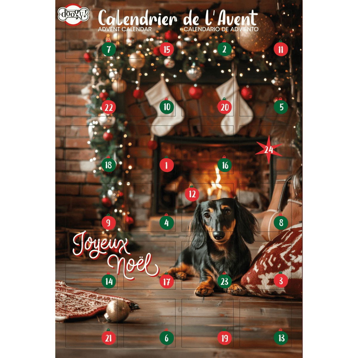 Calendrier de l'Avent pour chiens - 168g - Le Royaume de Lecki