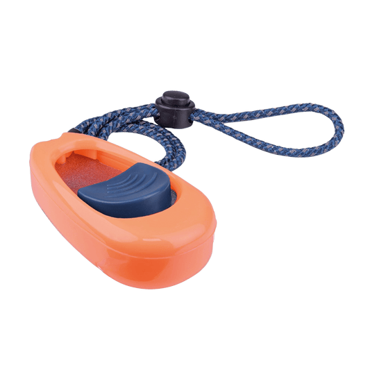 Clicker 3 sons Coachi - Le Royaume de Lecki