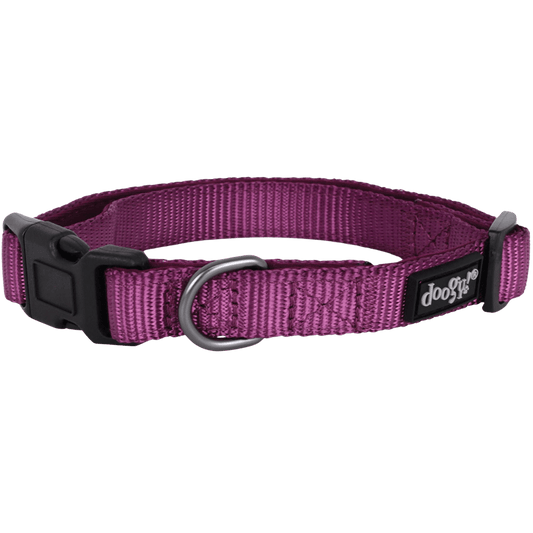 Collier chien Classica - Le Royaume de Lecki