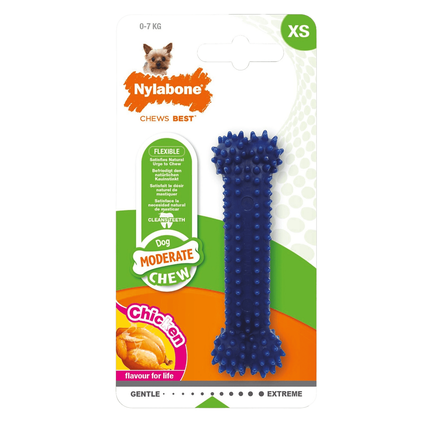 Dental Chew Nylabone - Le Royaume de Lecki