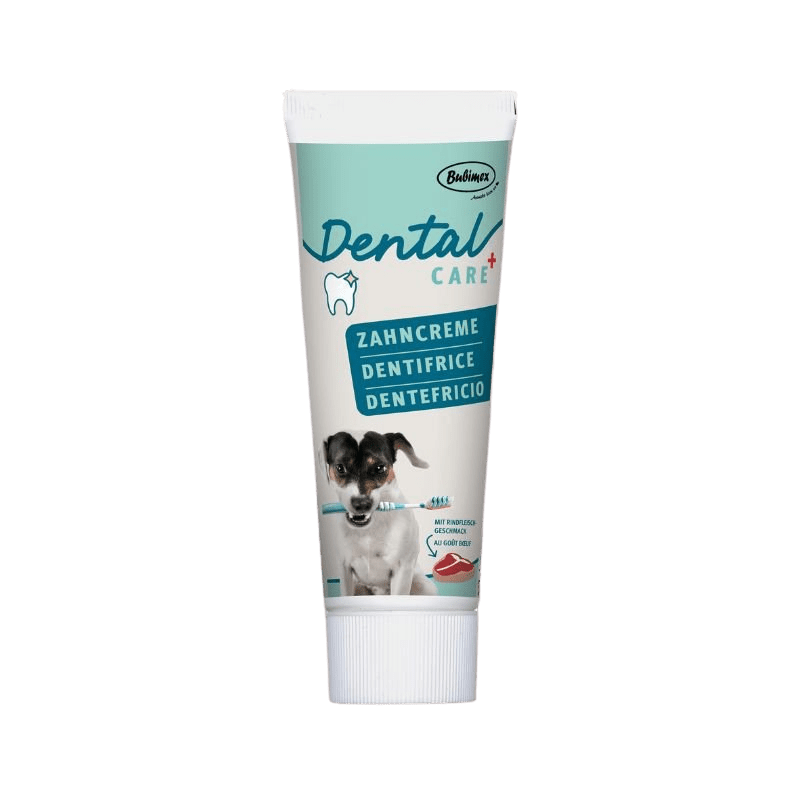 Dentifrice Dental Care Bubimex - Le Royaume de Lecki