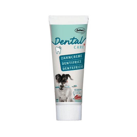 Dentifrice Dental Care Bubimex - Le Royaume de Lecki