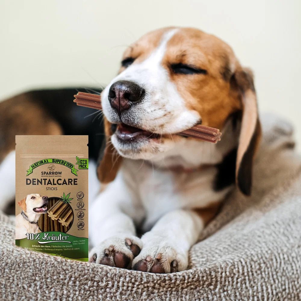 Friandises DentalCare Sticks Sparrow avec CBD - Le Royaume de Lecki
