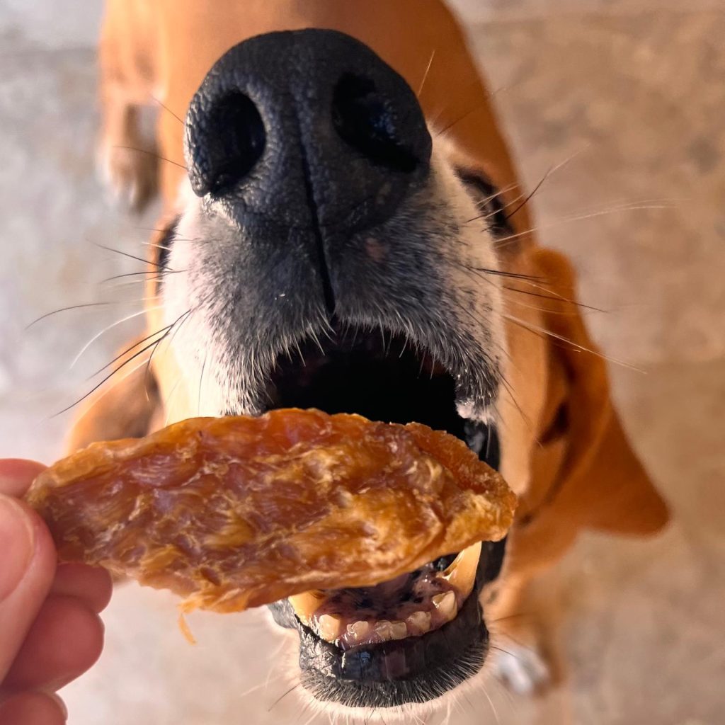 Friandises Dinde croustillante Cooka's Cookies - Le Royaume de Lecki