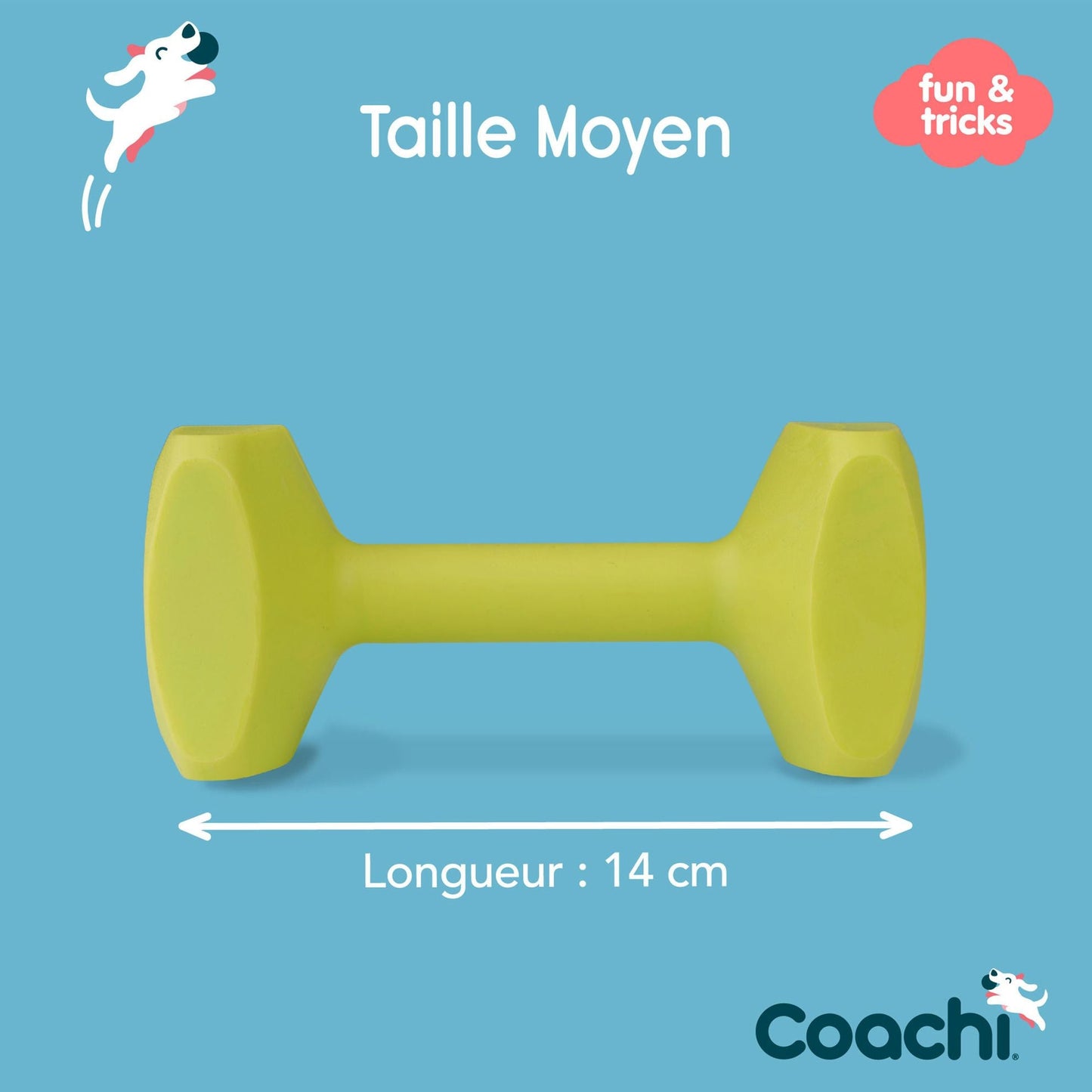 Haltère d'éducation Dumbbell Coachi - Le Royaume de Lecki