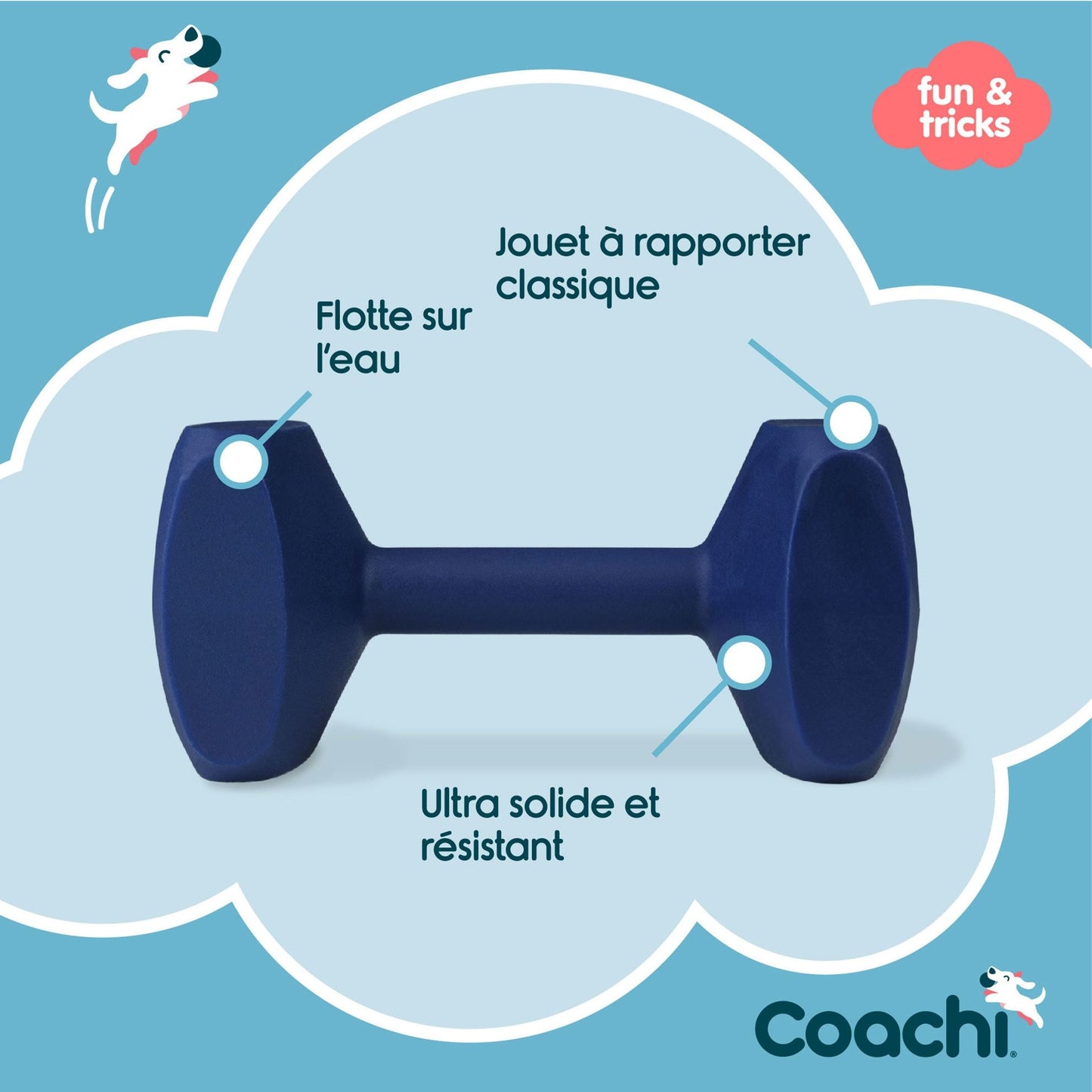 Haltère d'éducation Dumbbell Coachi - Le Royaume de Lecki