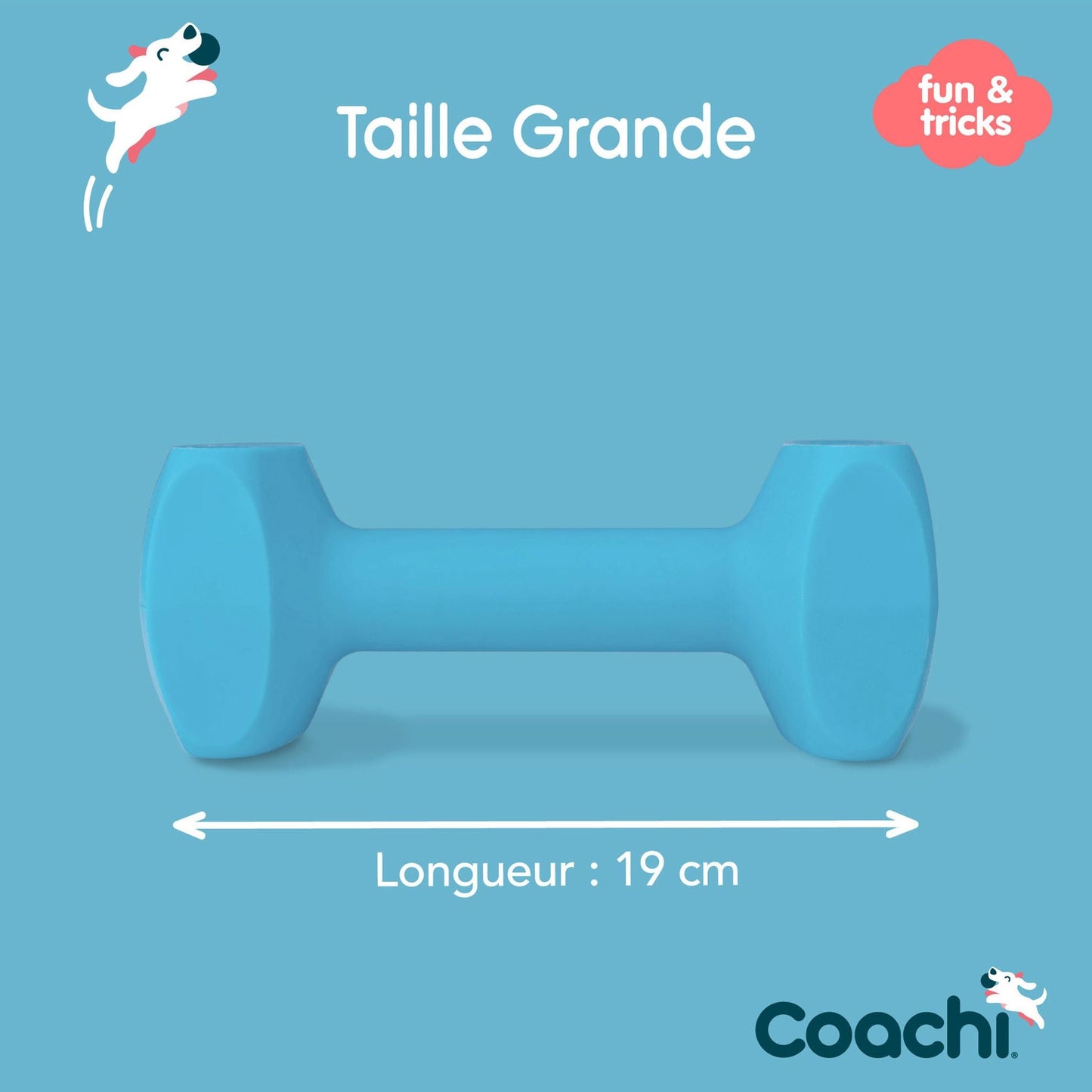 Haltère d'éducation Dumbbell Coachi - Le Royaume de Lecki