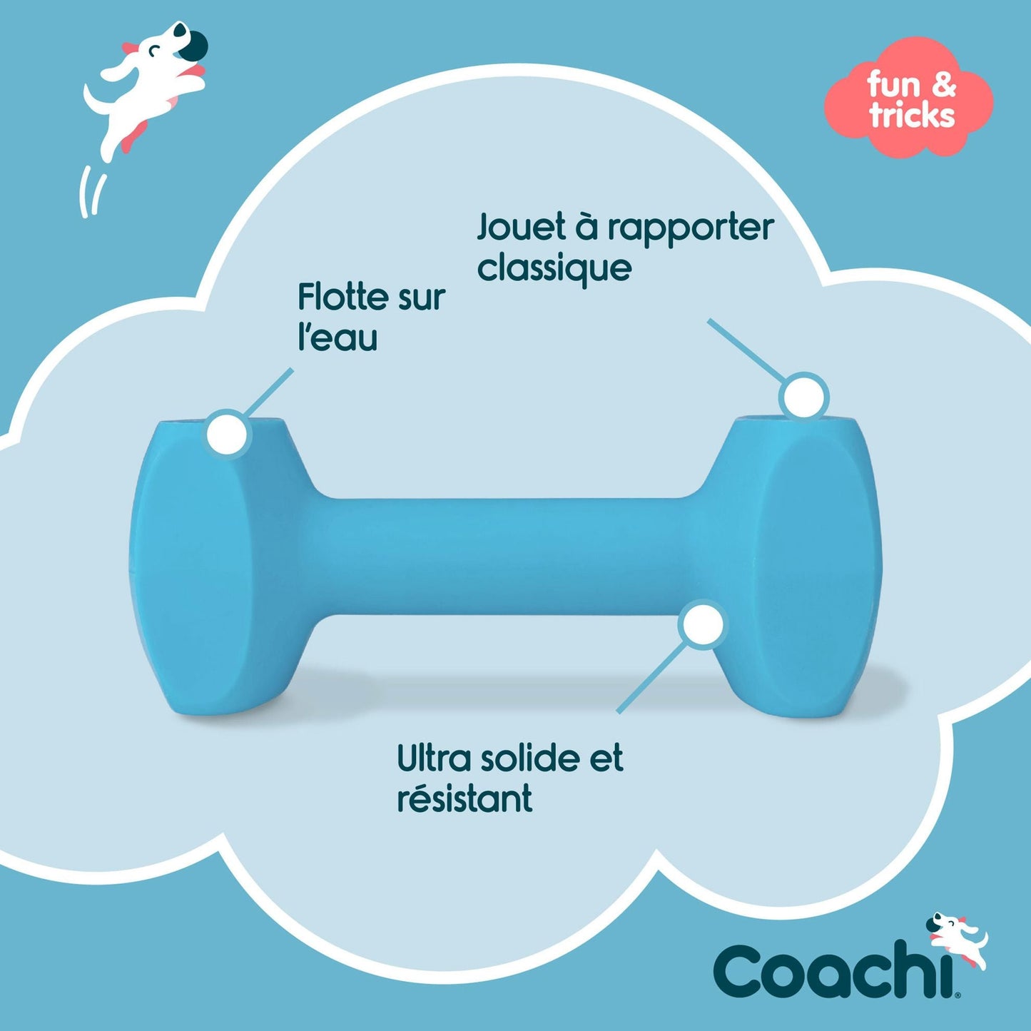 Haltère d'éducation Dumbbell Coachi - Le Royaume de Lecki