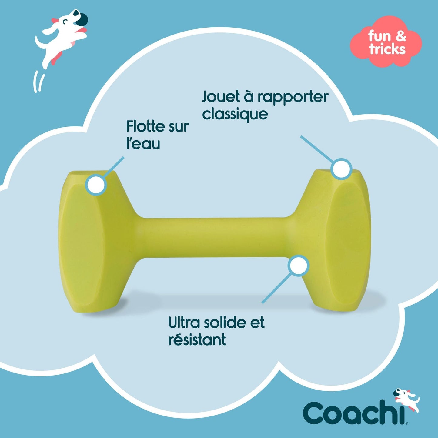 Haltère d'éducation Dumbbell Coachi - Le Royaume de Lecki