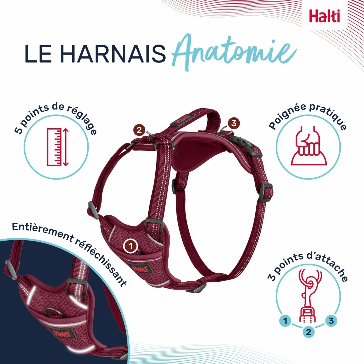 Harnais chien Anatomy Halti - Le Royaume de Lecki