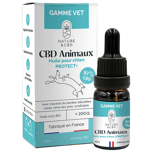 Huile de CBD 10% PROTECT+ pour chiens - Le Royaume de Lecki