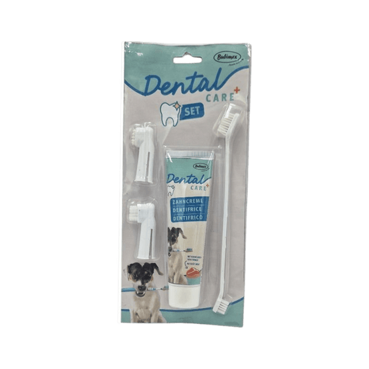 Kit dentaire pour chiens Dental Care Bubimex - Le Royaume de Lecki