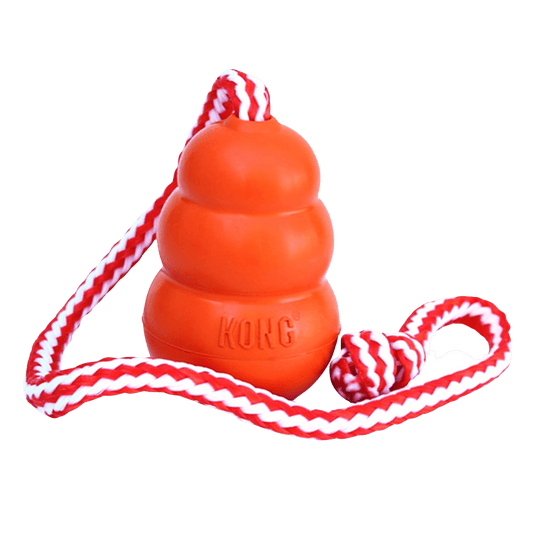 KONG® Aqua - Le Royaume de Lecki