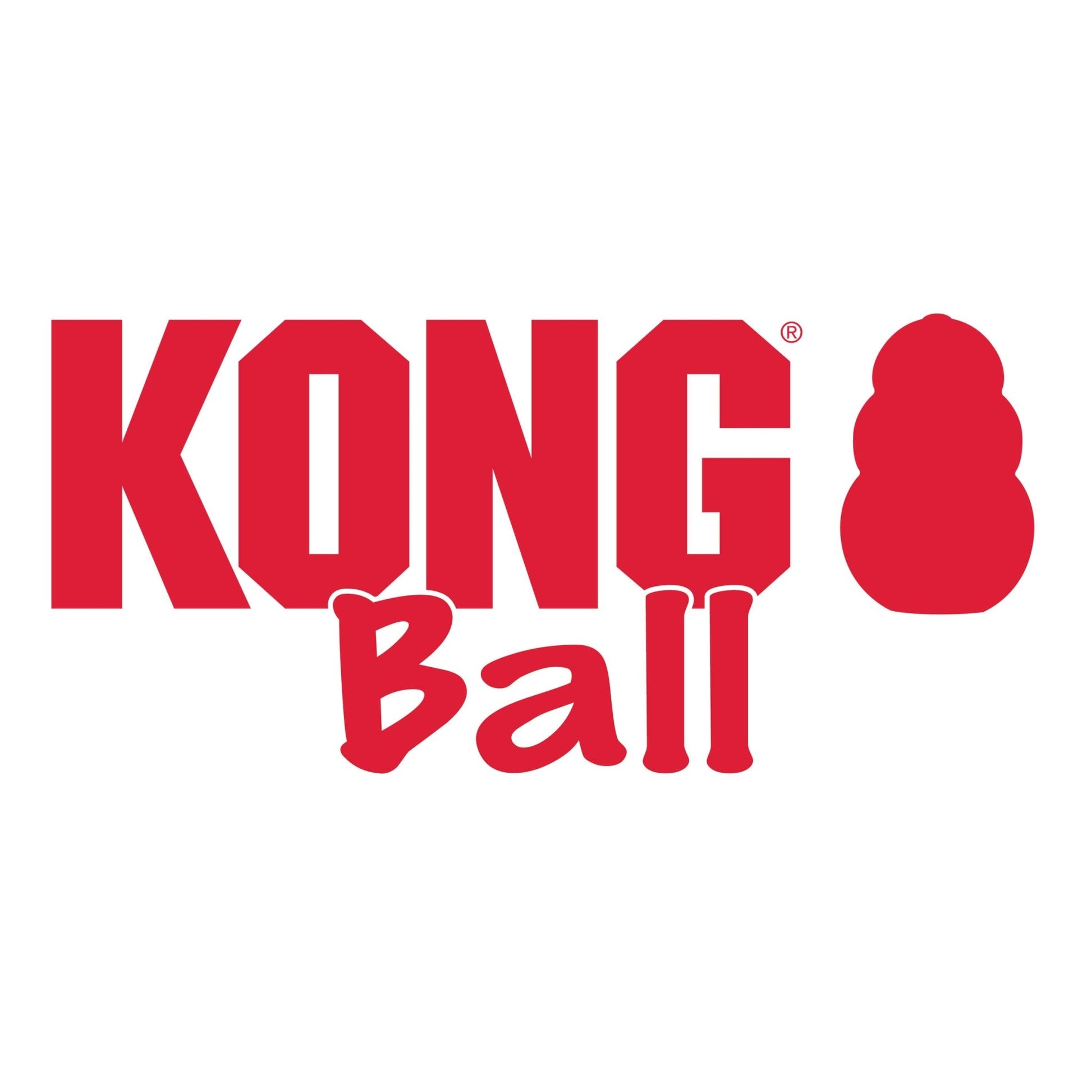 KONG® Ball - Le Royaume de Lecki