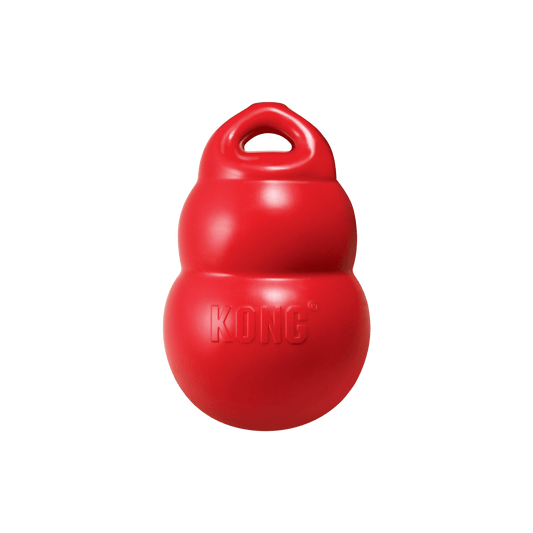 KONG® Bounzer - Le Royaume de Lecki
