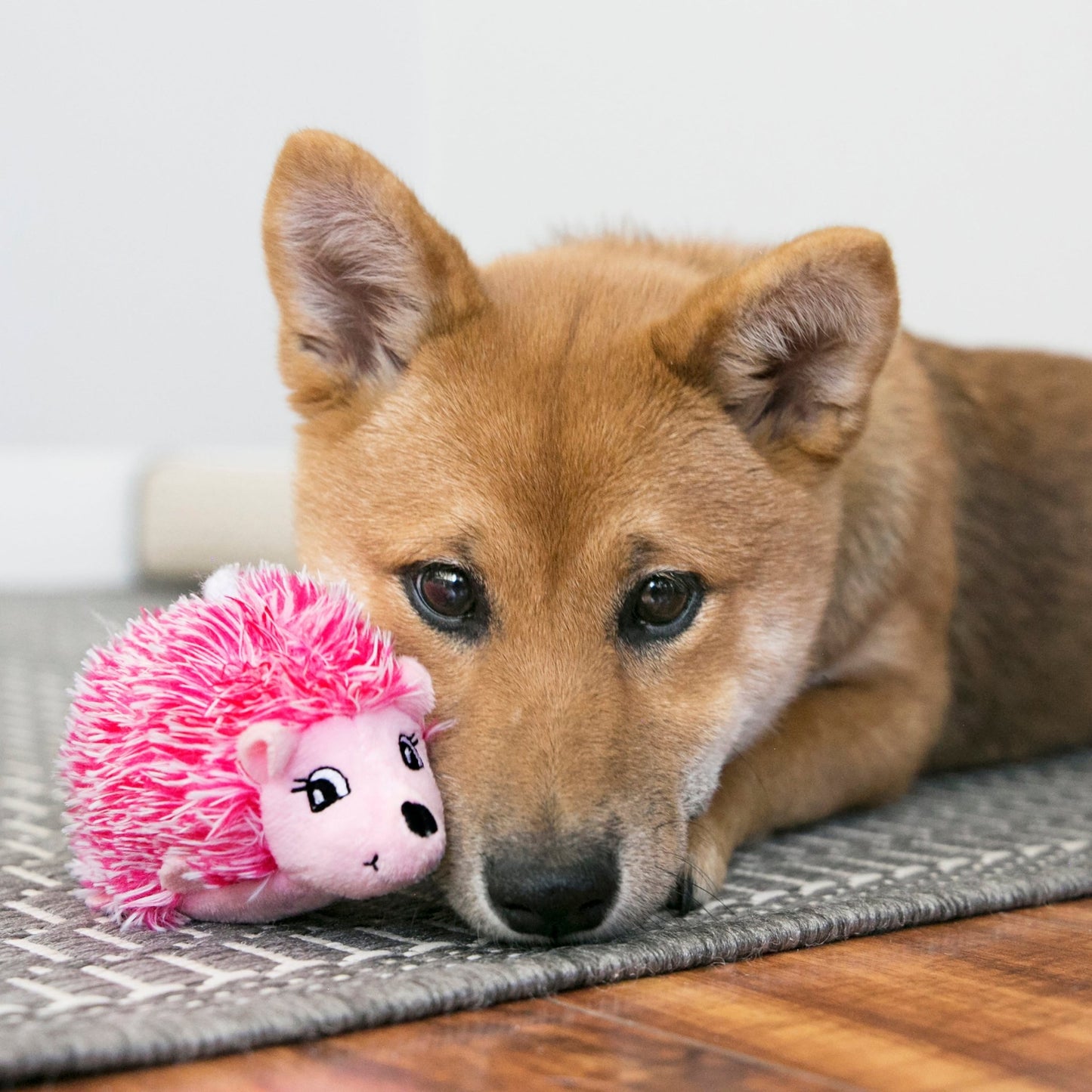 KONG® Comfort HedgeHug Puppy - Le Royaume de Lecki