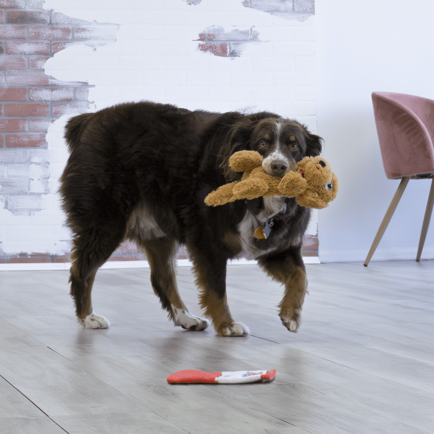 KONG® Comfort Pups Goldie - Le Royaume de Lecki