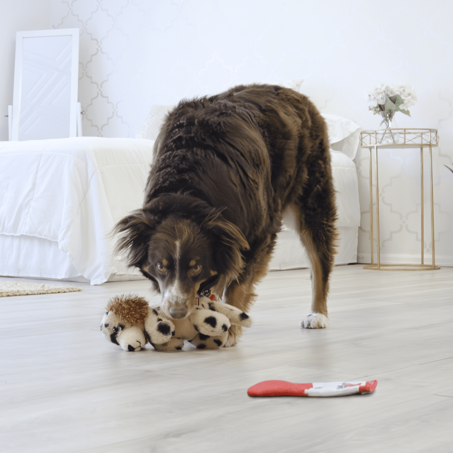 KONG® Comfort Pups Spot - Le Royaume de Lecki