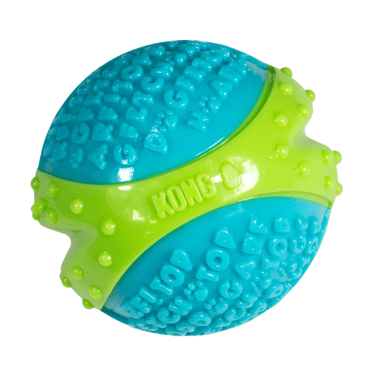KONG® CoreStrength Ball - Le Royaume de Lecki