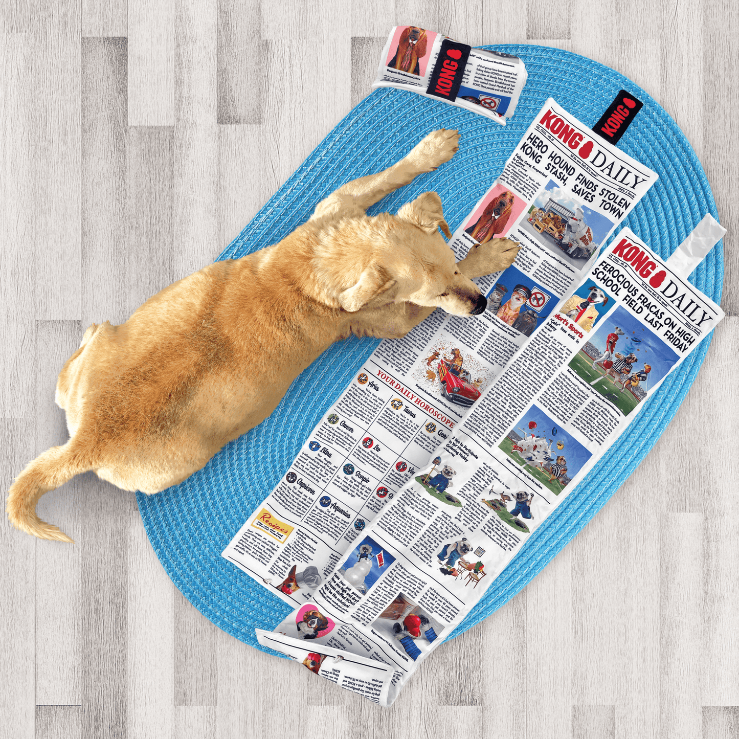 KONG® Daily Newspaper - Le Royaume de Lecki