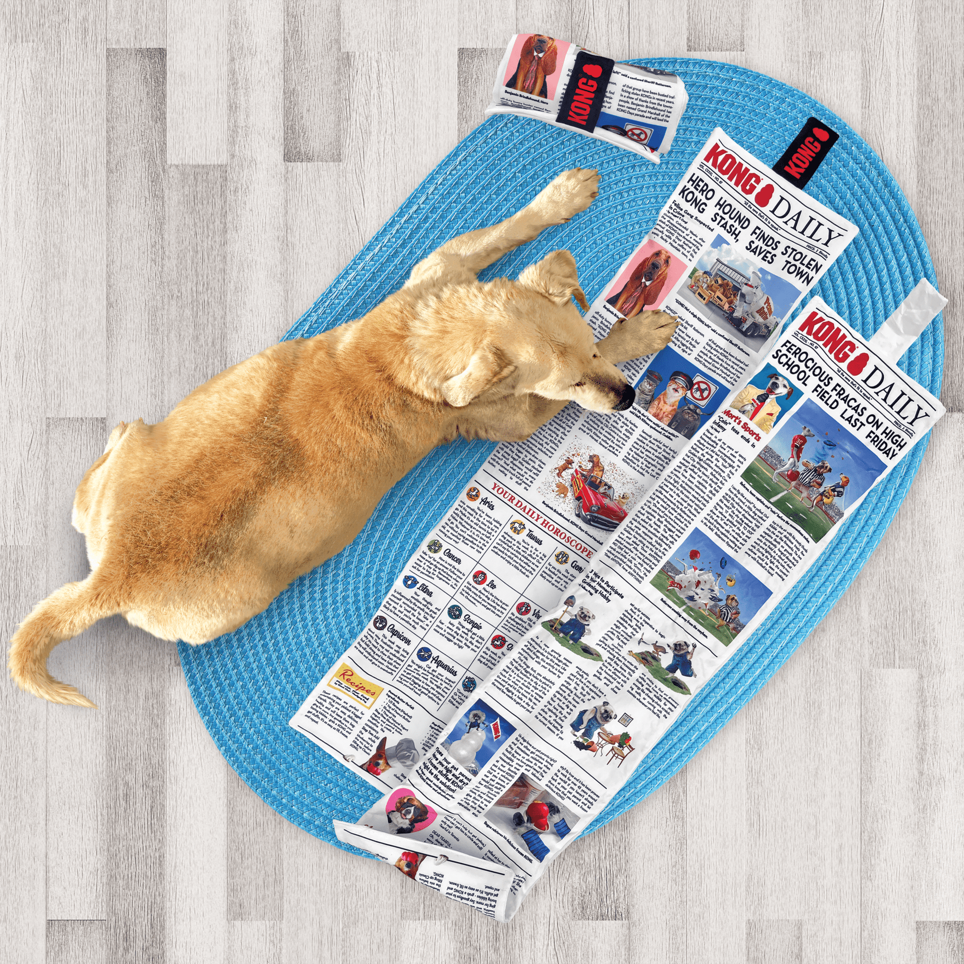 KONG® Daily Newspaper - Le Royaume de Lecki
