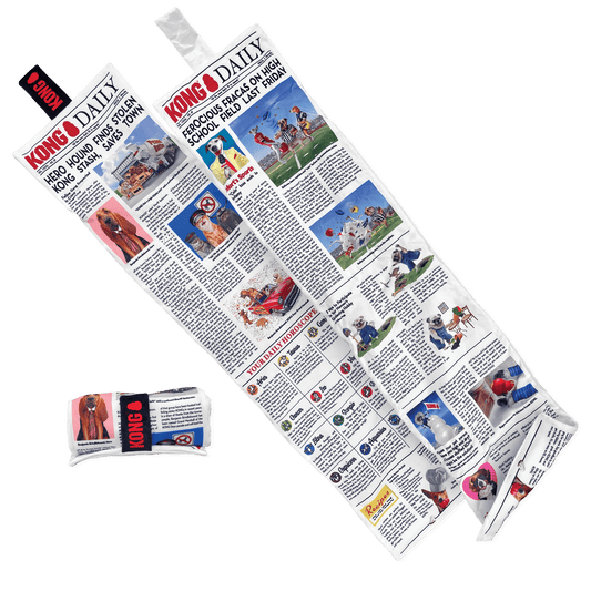 KONG® Daily Newspaper - Le Royaume de Lecki