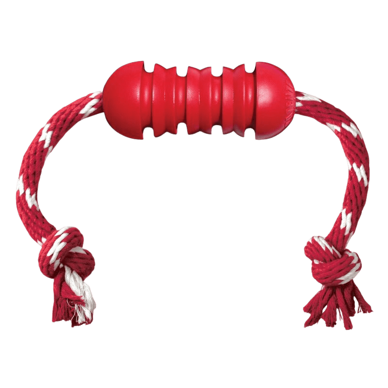 KONG® Dental avec corde - Le Royaume de Lecki