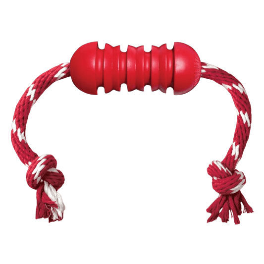 KONG® Dental avec corde - Le Royaume de Lecki