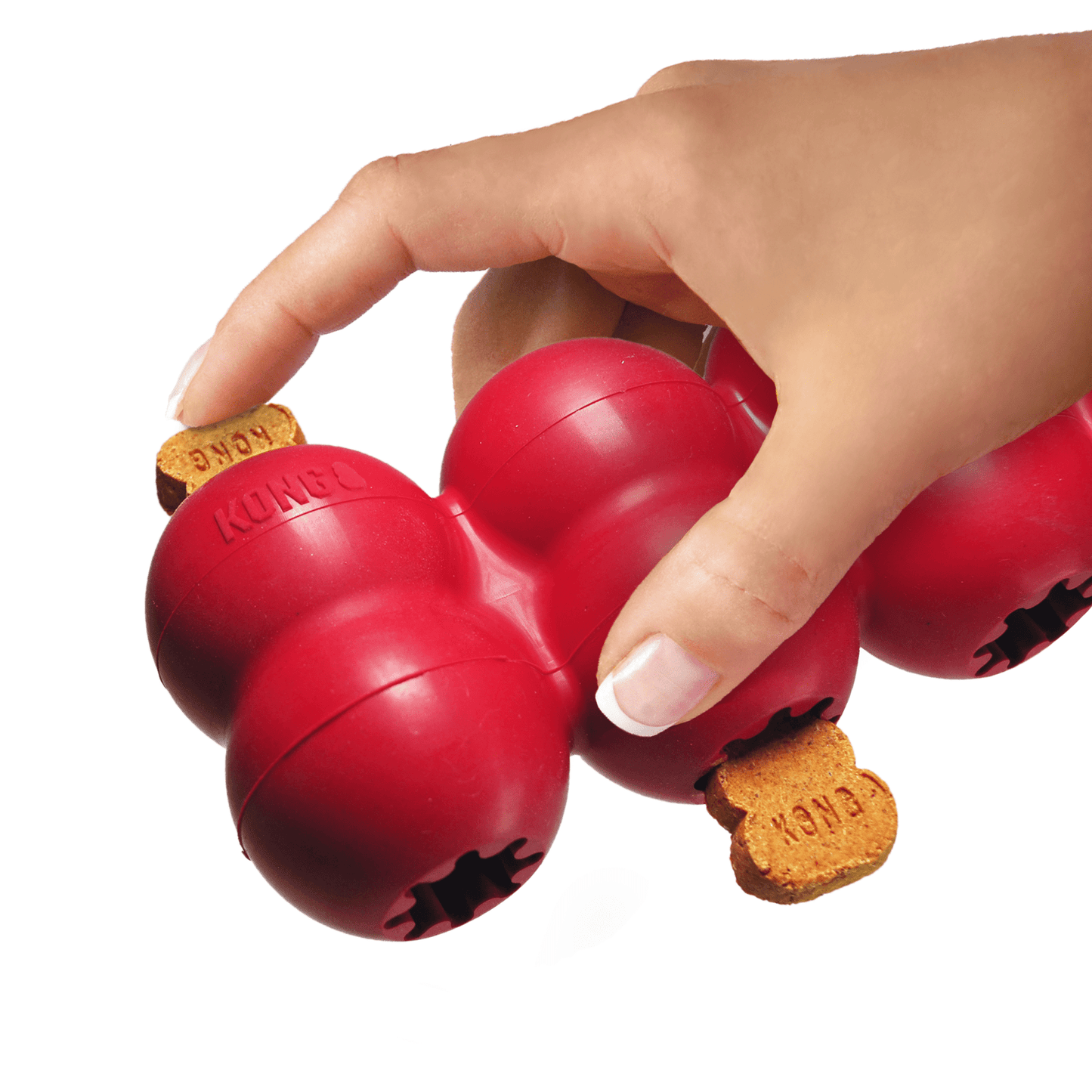 KONG® Goodie Ribbon - Le Royaume de Lecki