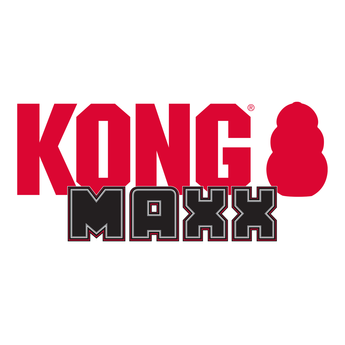 KONG® Maxx Bone - Le Royaume de Lecki
