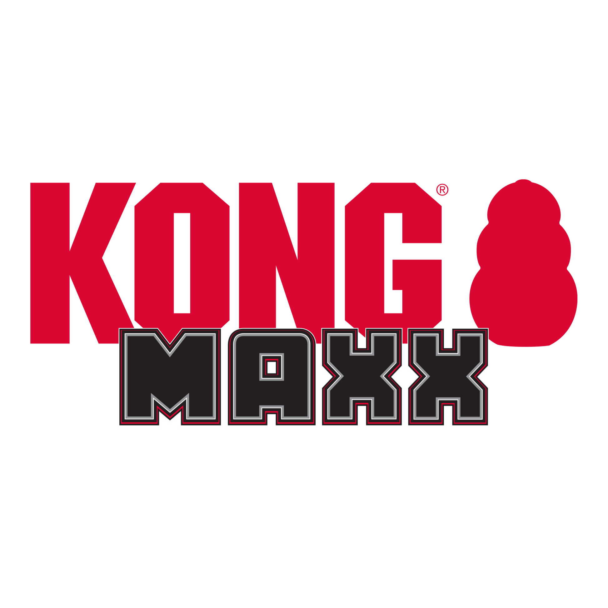 KONG® Maxx Bone - Le Royaume de Lecki