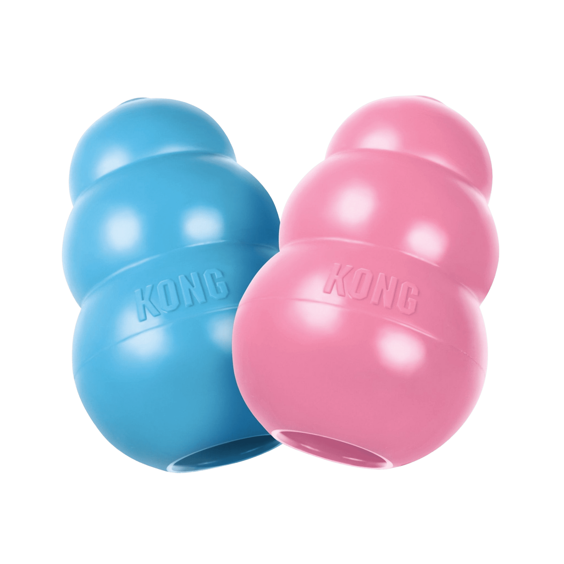 KONG® Puppy - Le Royaume de Lecki