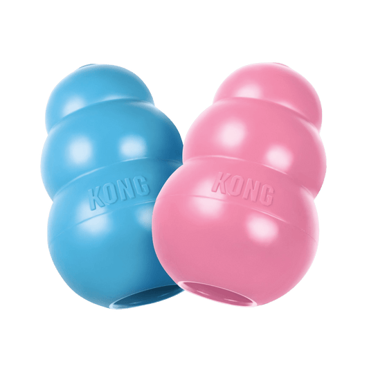 KONG® Puppy - Le Royaume de Lecki