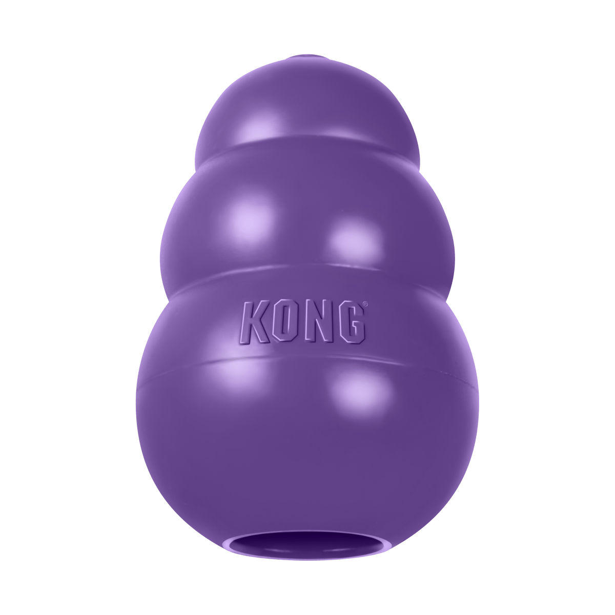 KONG® Senior - Le Royaume de Lecki