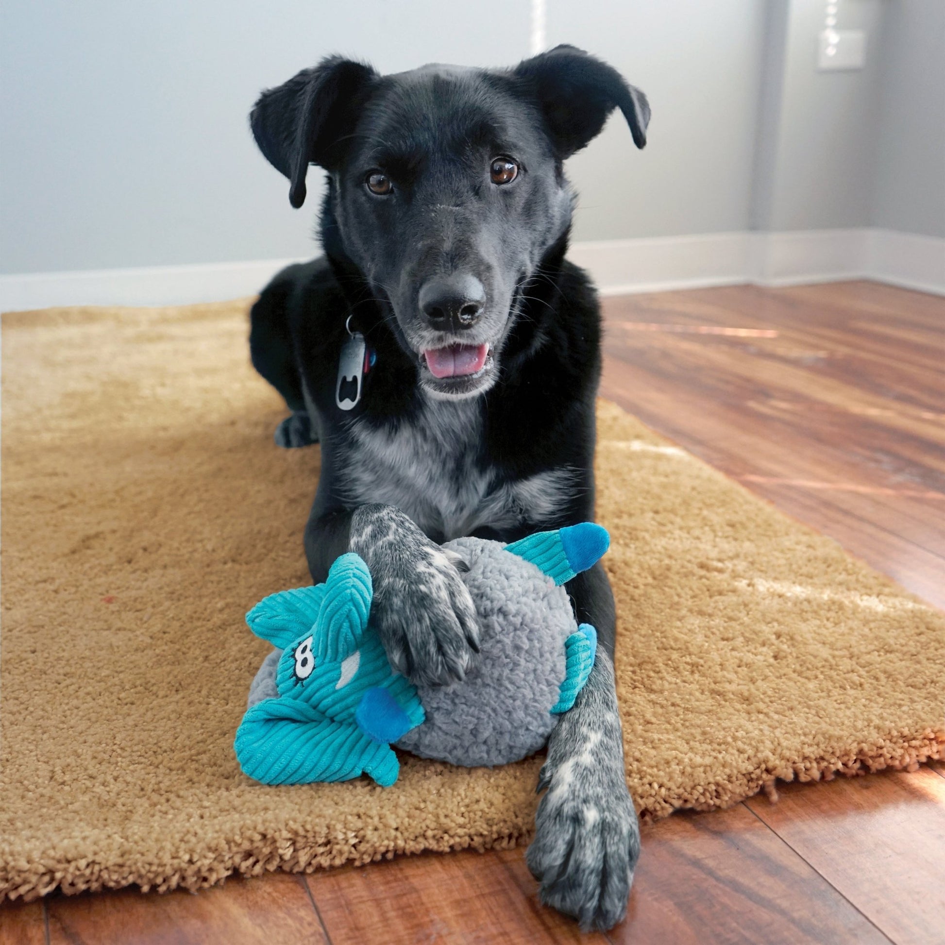 KONG® Sherps Floofs Moose - Le Royaume de Lecki