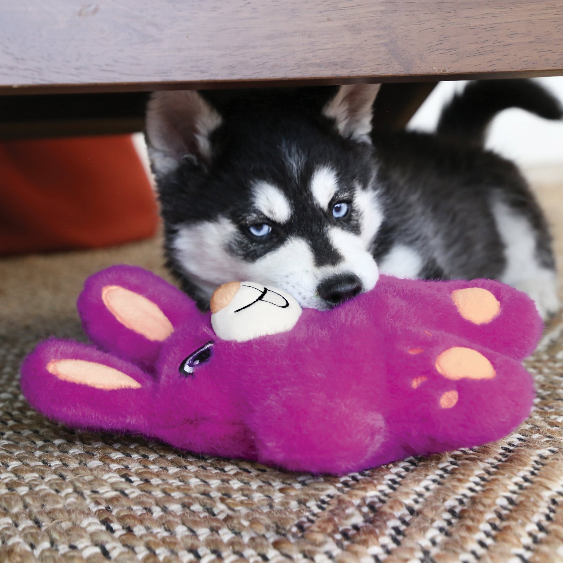 KONG® Snuzzles Bunny - Le Royaume de Lecki