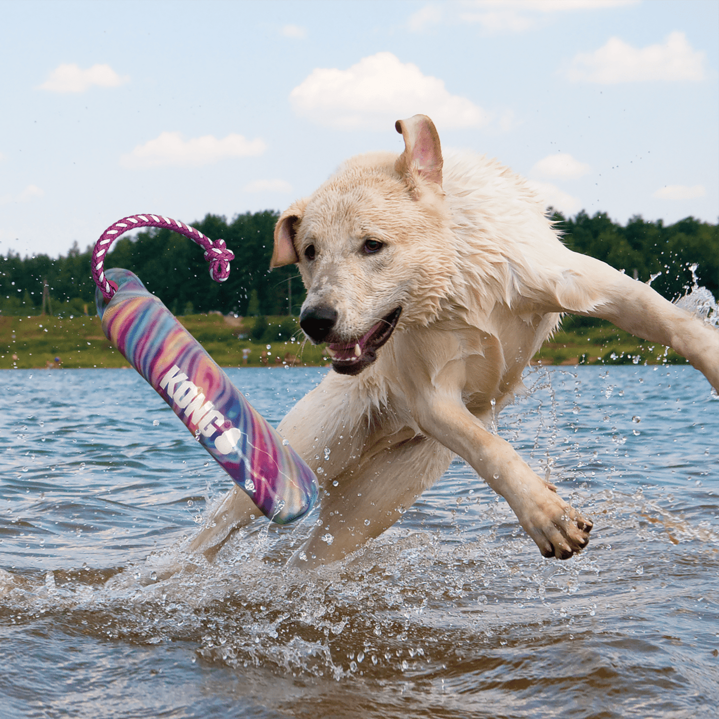 KONG® Wild Shieldz Training Dummy Swirl - Le Royaume de Lecki