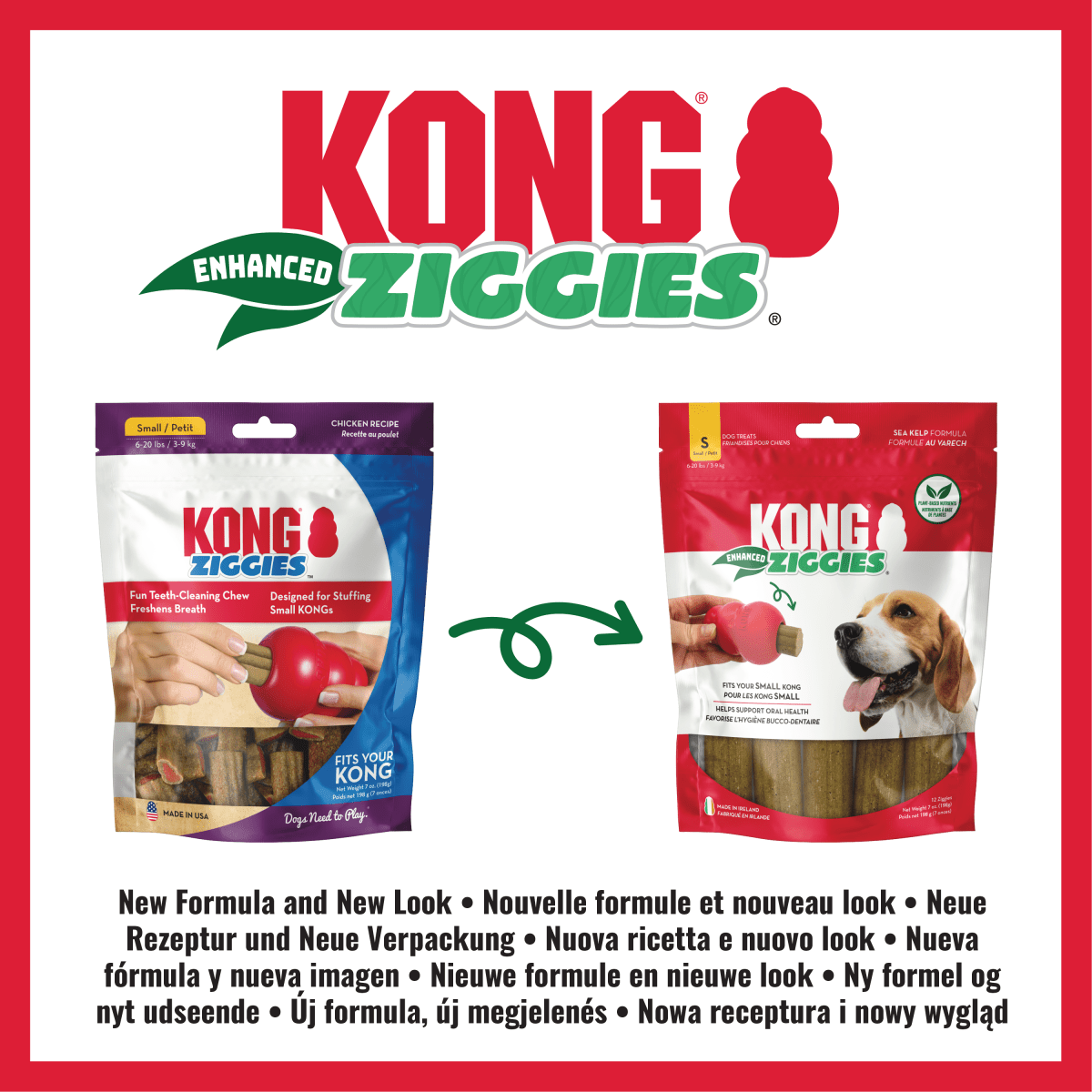KONG® Ziggies Enhanced - Le Royaume de Lecki