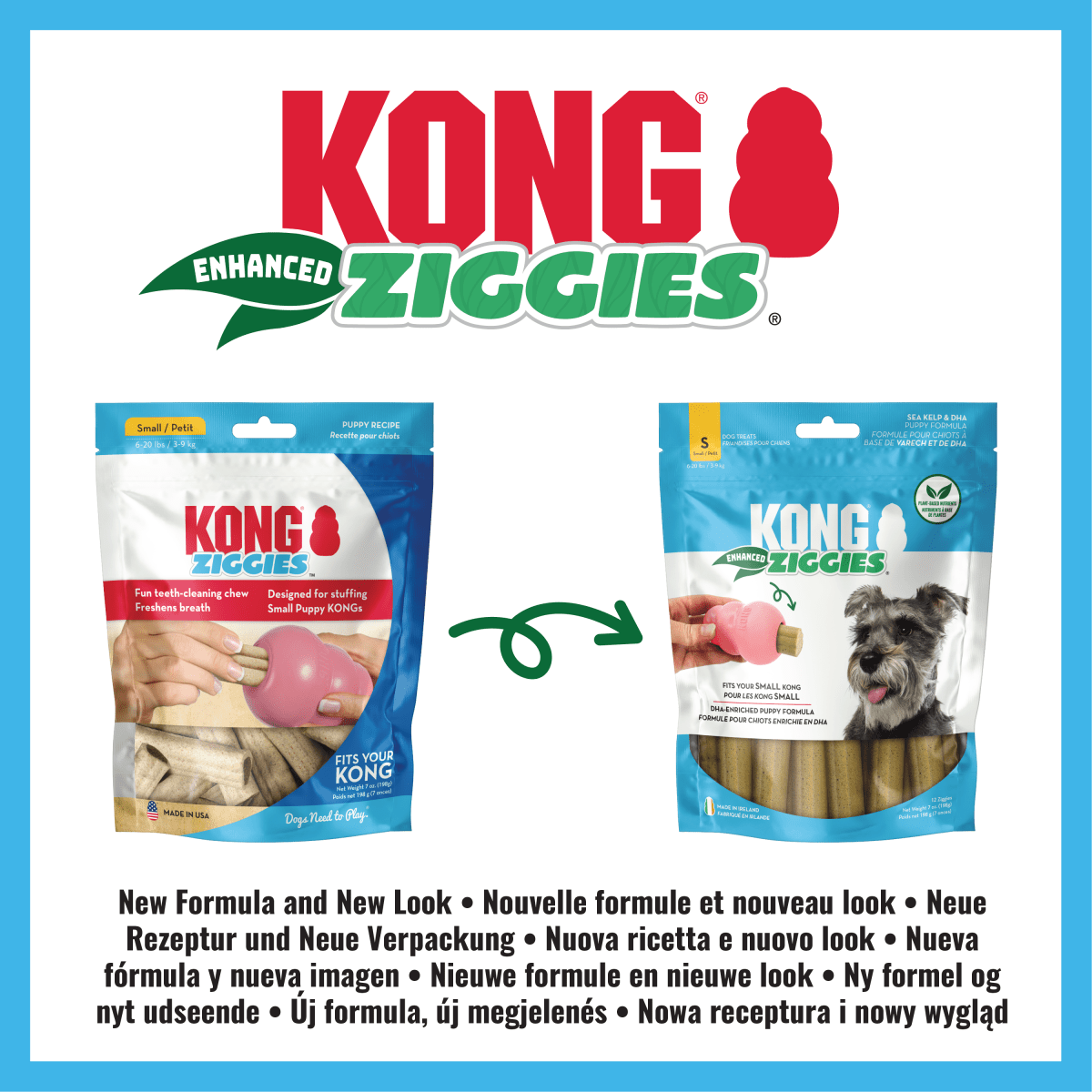 KONG® Ziggies Enhanced pour Chiot - Le Royaume de Lecki