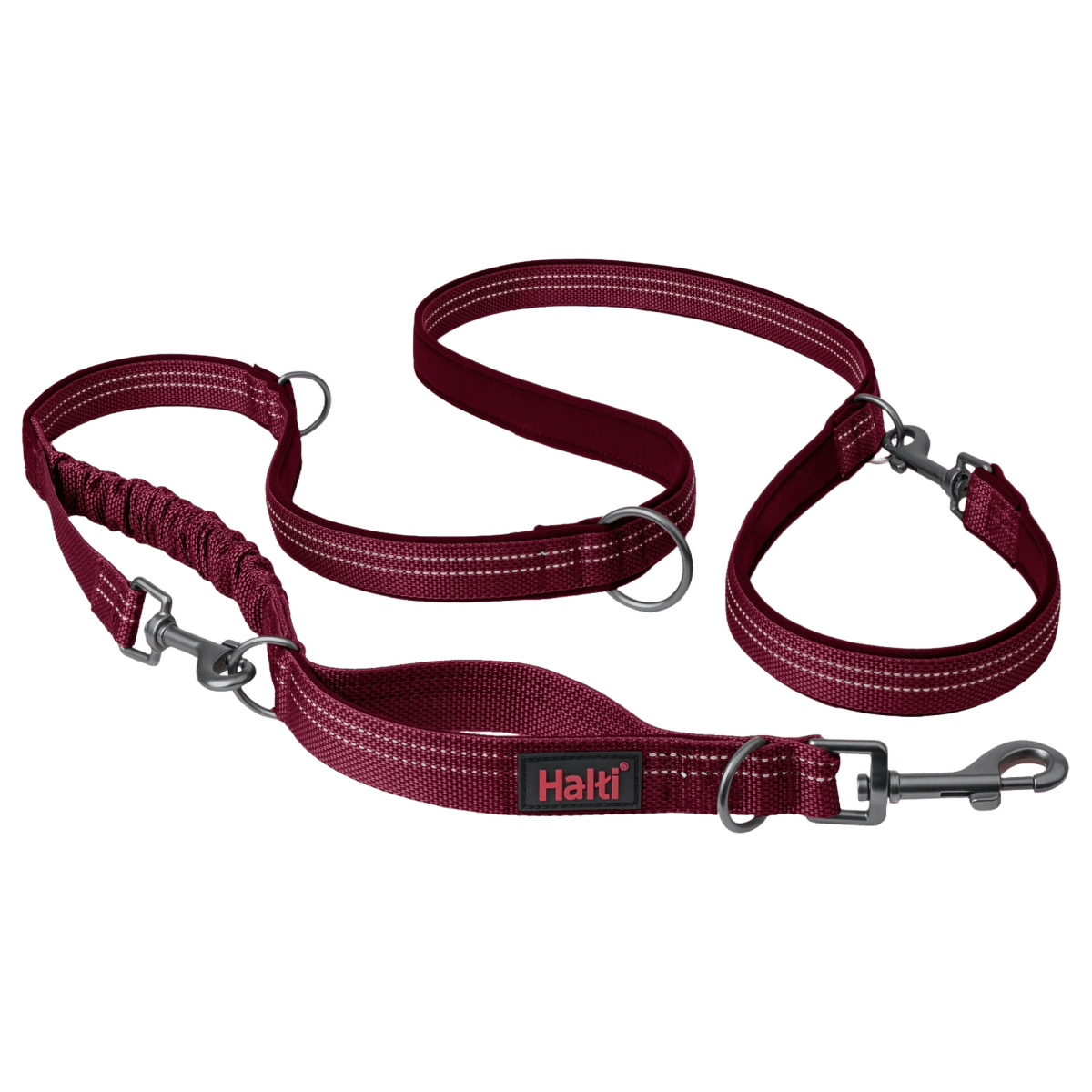 Laisse chien Anatomy Halti - Le Royaume de Lecki
