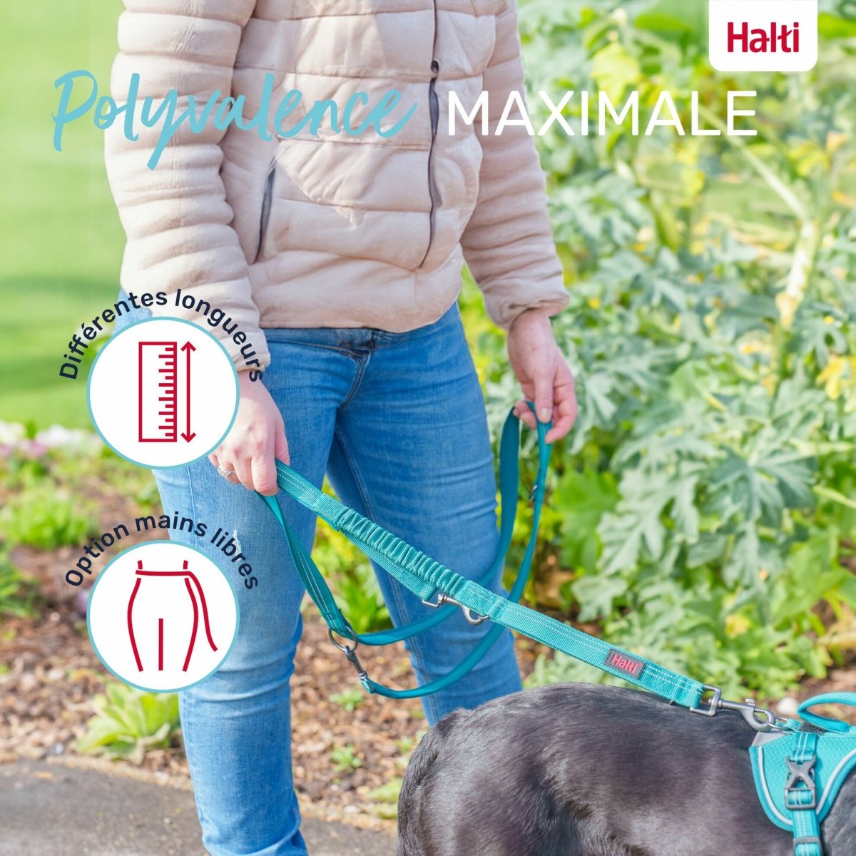Laisse chien Anatomy Halti - Le Royaume de Lecki