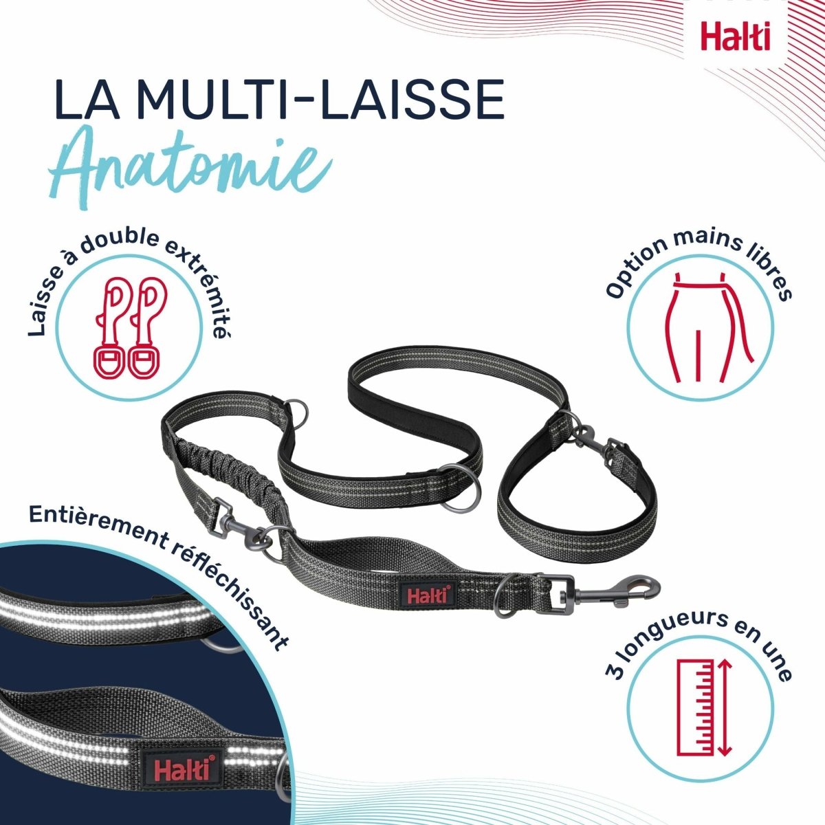 Laisse chien Anatomy Halti - Le Royaume de Lecki