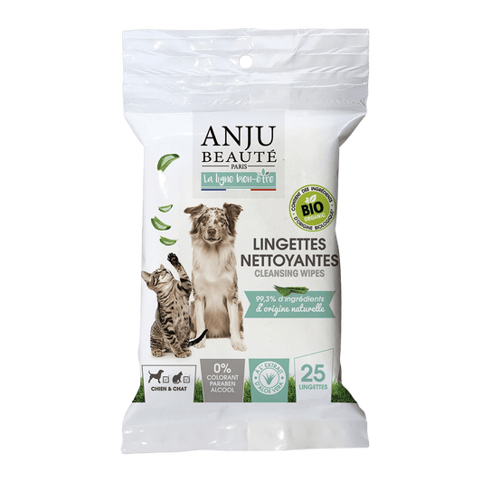 Lingettes nettoyantes Ecosoin Bio - Le Royaume de Lecki