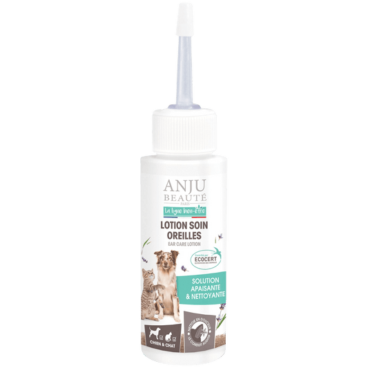Lotion des oreilles Anju Beauté - Le Royaume de Lecki