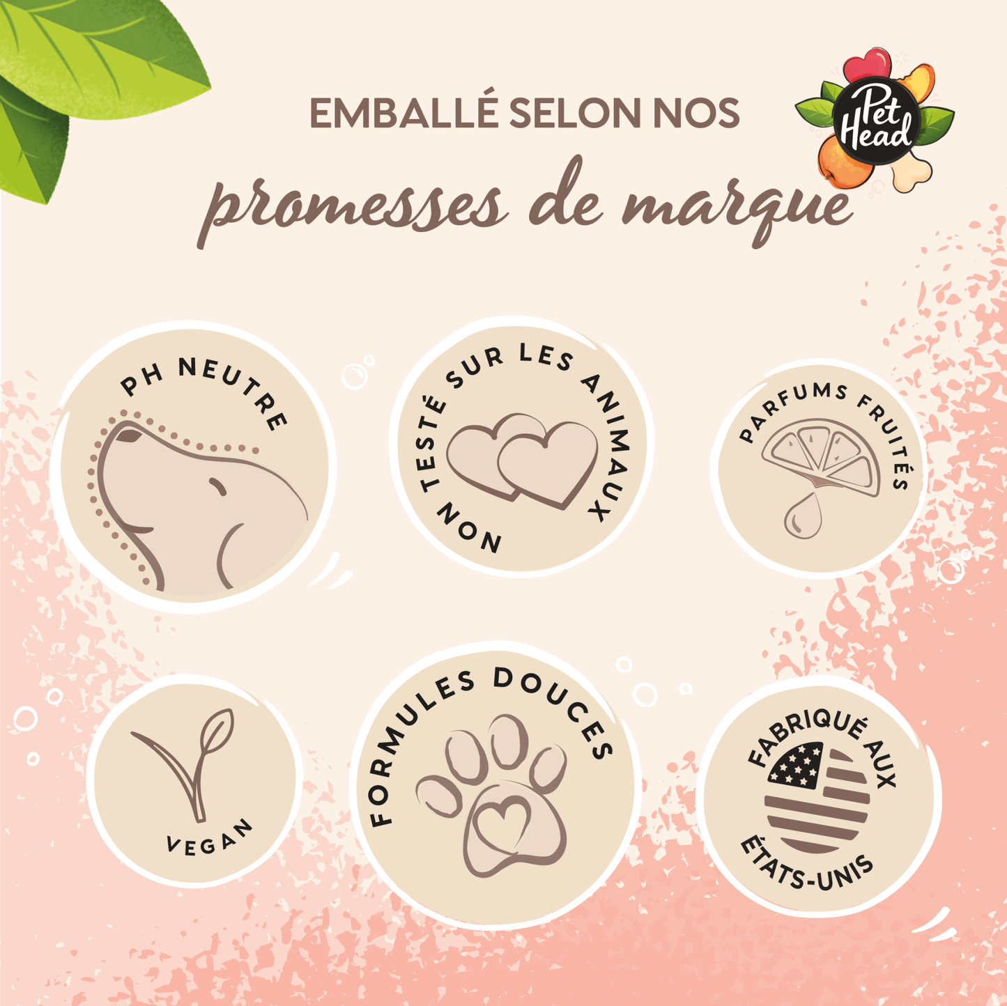 Mousse sans rinçage Pet Head - Le Royaume de Lecki
